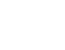 Vector